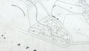 Map of Pelton Fell 1846